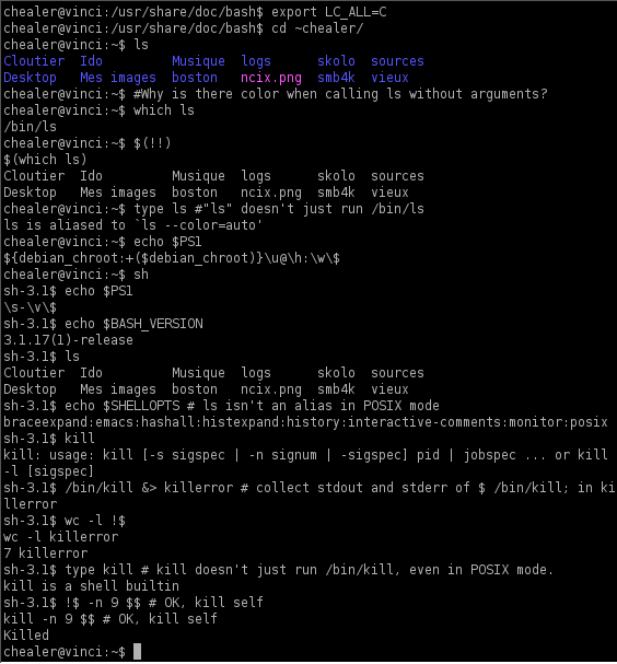 Shell CLI: bash